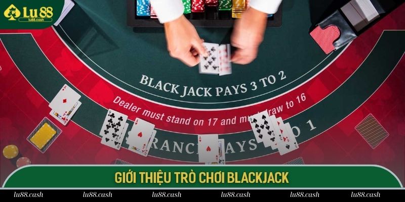 Blackjack là game bài quen thuộc đối với bet thủ tại Việt Nam