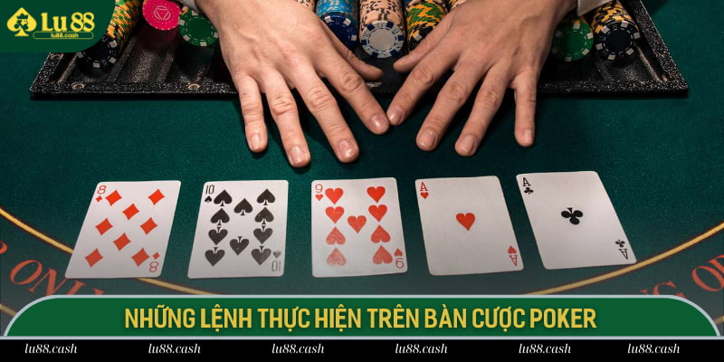 Cách Chơi Poker Lu88 - 3 Thủ Thuật Trở Thành Ông Trùm Những lệnh thực hiện trên bàn cược Poker