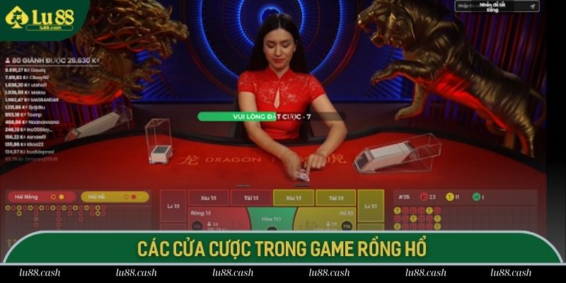 Những cửa cược thường gặp trong game bài Dragon Tiger cực hot